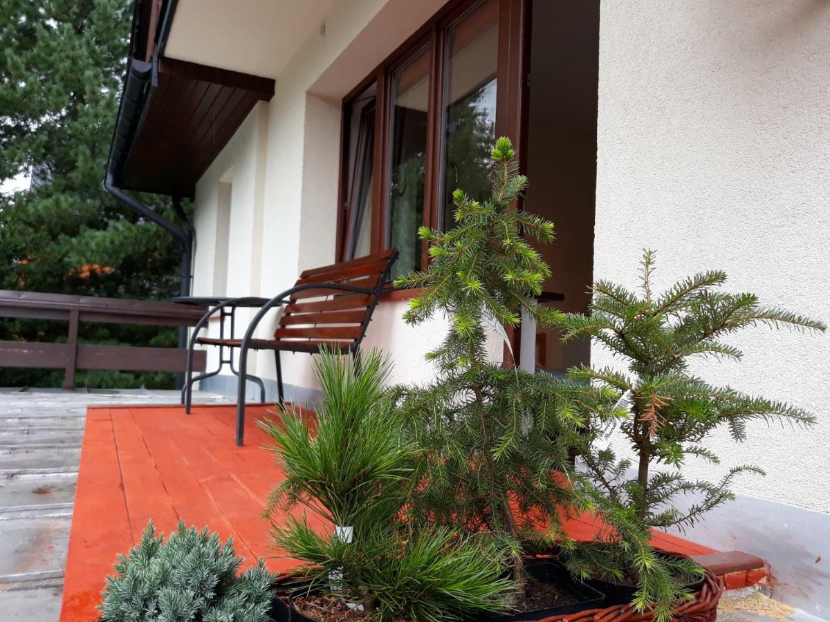 Willa Sichla Murzasichle Apartman Kültér fotó